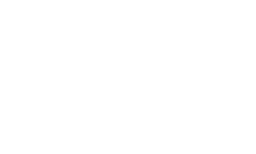 Molfocus Logo